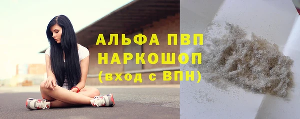 шишки Краснотурьинск