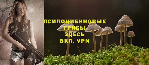МДПВ Абинск