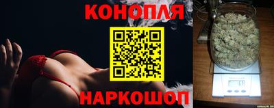 стафф Дубна