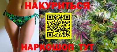 стафф Дубна