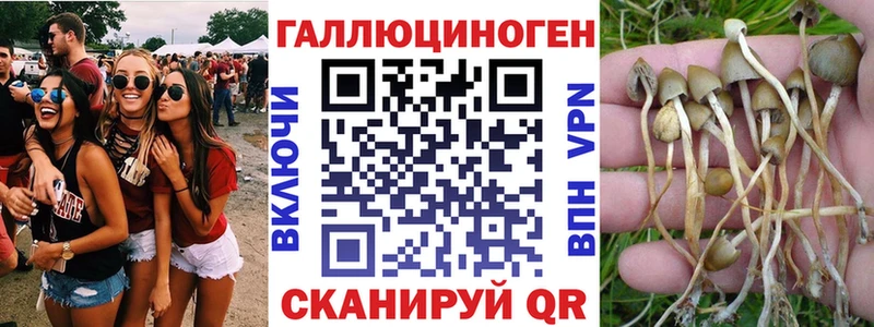hydra ССЫЛКА  где продают   Саянск  Псилоцибиновые грибы мухоморы 