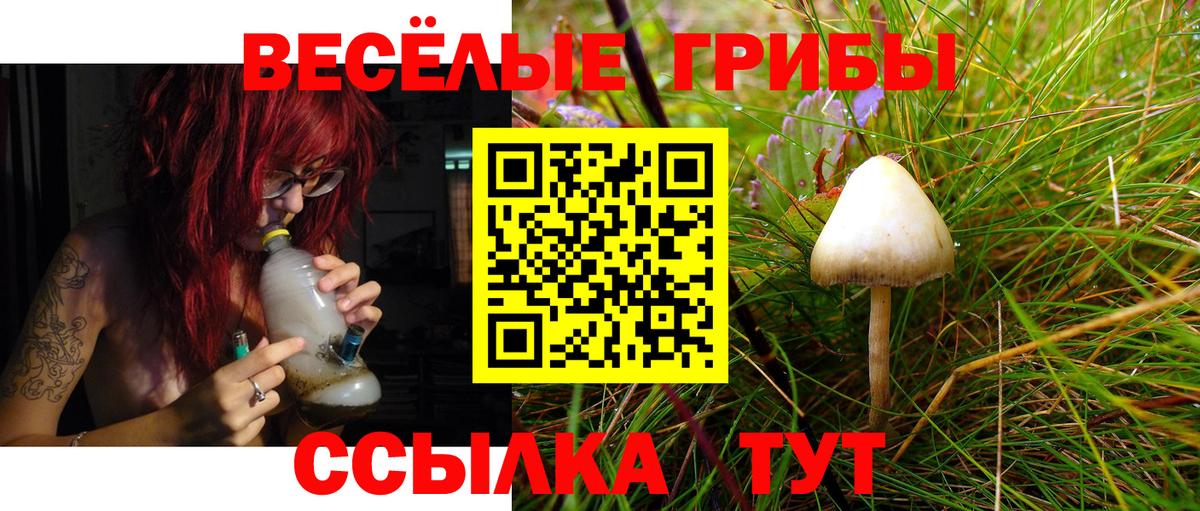 Галлюциногенные грибы мицелий Саянск
